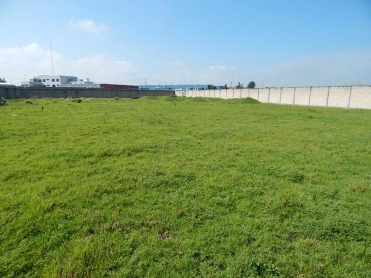  Land in San Buenaventura, Mexico No. 205113