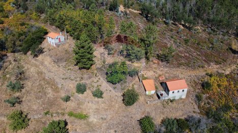 3 غرف نوم منزل في Troviscal, Portugal رقم 172369