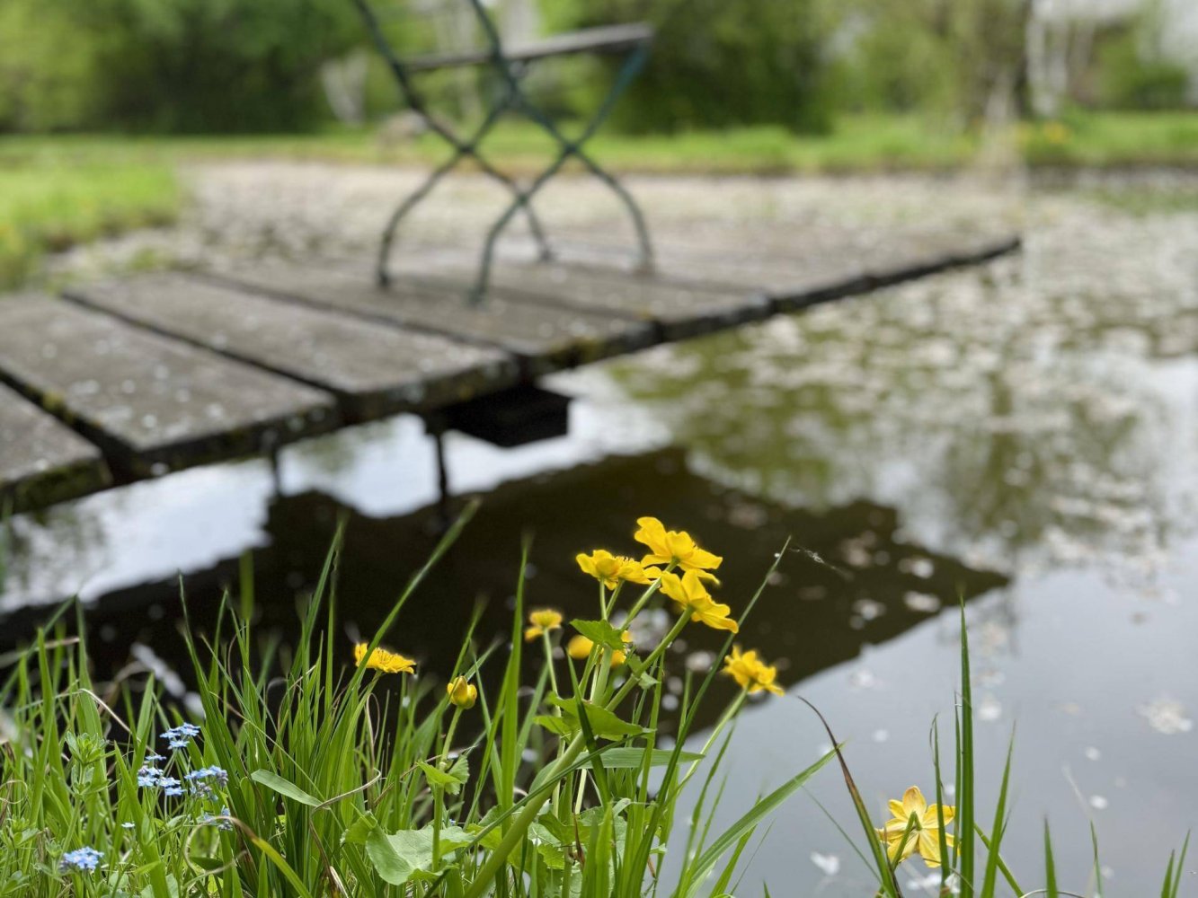Grundstück in Persenbeug-Gottsdorf, Austria 42565m², Nr. 104154
