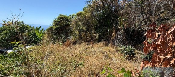 Casa T3 em Calheta, Portugal N.º 239083 3