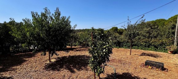 4 Schlafzimmer Villa in Tomar, Portugal, Nr. 289595 47