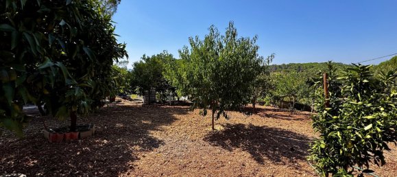 4 Schlafzimmer Villa in Tomar, Portugal, Nr. 289595 46