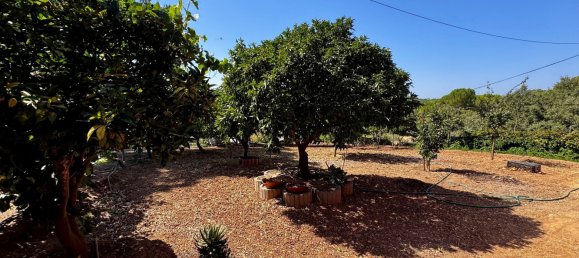 4 Schlafzimmer Villa in Tomar, Portugal, Nr. 289595 45