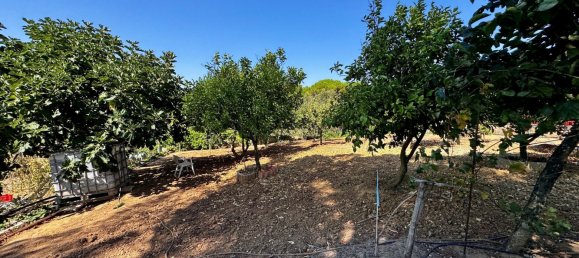 4 Schlafzimmer Villa in Tomar, Portugal, Nr. 289595 48