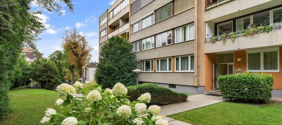 5-salle Appartement à Baden, Austria No. 231099 13