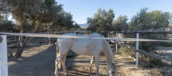 1 bedroom House in La Zubia, Spain No. 174561 39