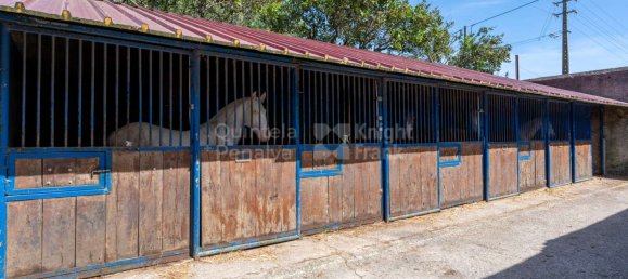 13 Schlafzimmer Schlösser in Sintra, Portugal, Nr. 120302 26