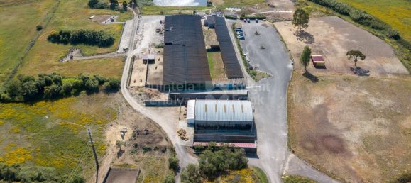 13 Schlafzimmer Schlösser in Sintra, Portugal, Nr. 120302 9