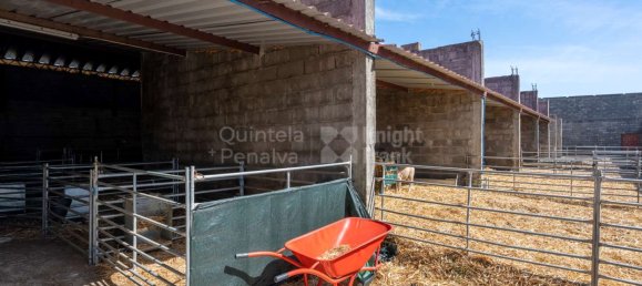 13 Schlafzimmer Schlösser in Sintra, Portugal, Nr. 120302 17