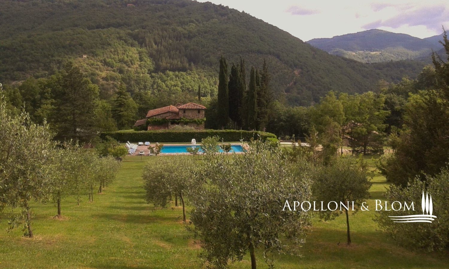 11 bedrooms Castles in Castel Focognano, Italy No. 53523