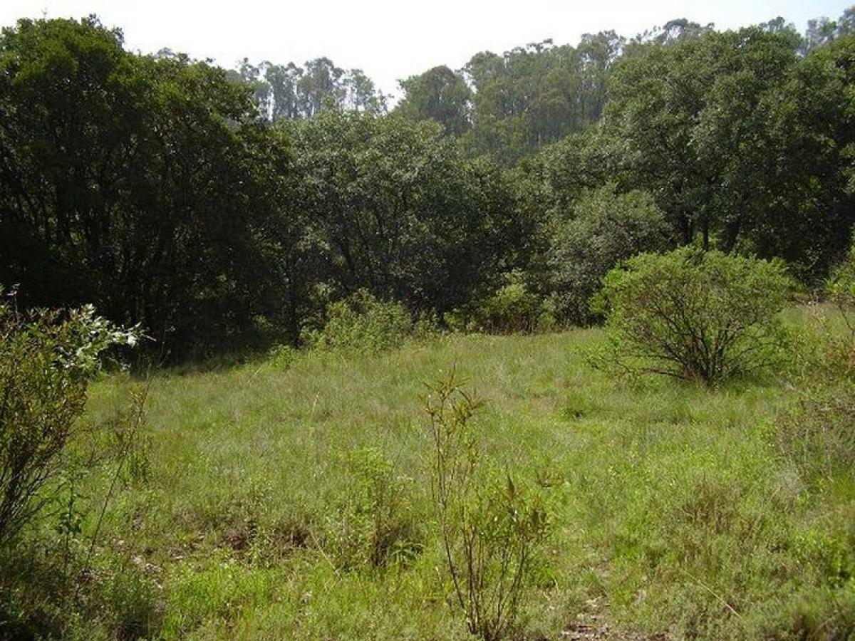 Terra em Naucalpan de Juarez, Mexico N.º 205357
