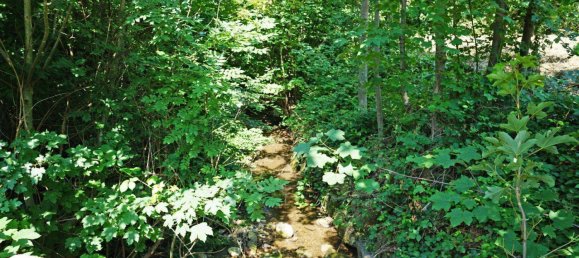  قطعة أرض في Pressbaum, Austria رقم 97394 8