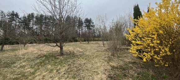  Land in Weinitzen, Austria No. 62272 15