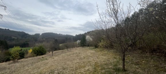  Land in Weinitzen, Austria No. 62272 2