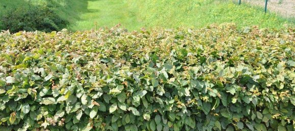 Casa de 5 habitaciónes en Duren, Germany No. 83644 15