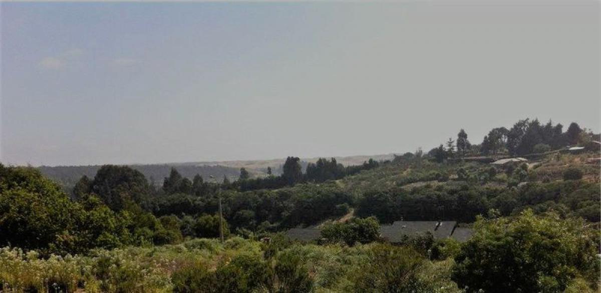  Land in Valparaiso, Chile No. 639