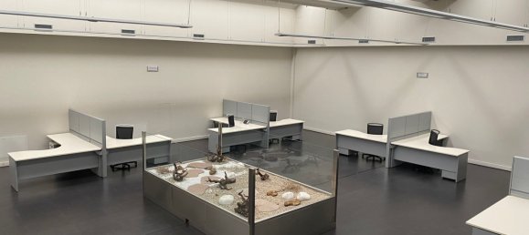 500m² Warehouse in Gorizia, Italy No. 255178 6