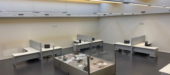 500m² Warehouse in Gorizia, Italy No. 255178 20