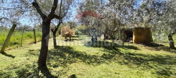 Casa de 4 dormitorios en Città Sant'Angelo, Italy No. 342129 19