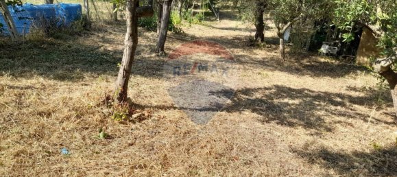 Casa de 4 dormitorios en Città Sant'Angelo, Italy No. 342129 16