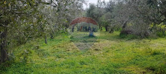 Casa de 4 dormitorios en Città Sant'Angelo, Italy No. 342129 15