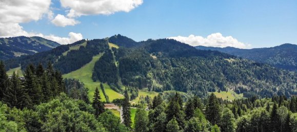 4451m² Hotel in Les Gets, France No. 397374 9