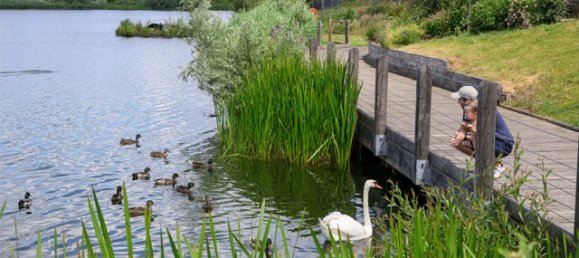 Studio in Reading, United Kingdom, Nr. 3457 10