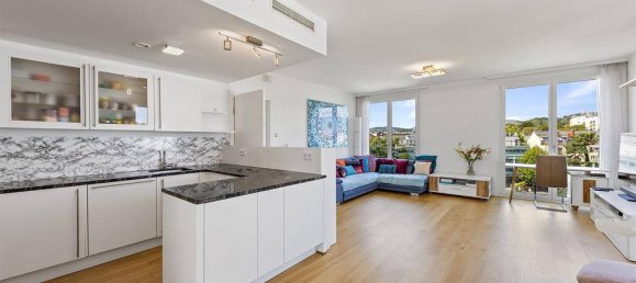 1 chambre Penthouse à Dobling, Austria No. 255779 5