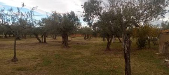 5 rooms House in Fossacesia, Italy No. 143058 11