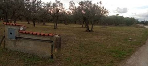 5 rooms House in Fossacesia, Italy No. 143058 21