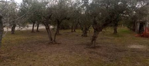 5 rooms House in Fossacesia, Italy No. 143058 3