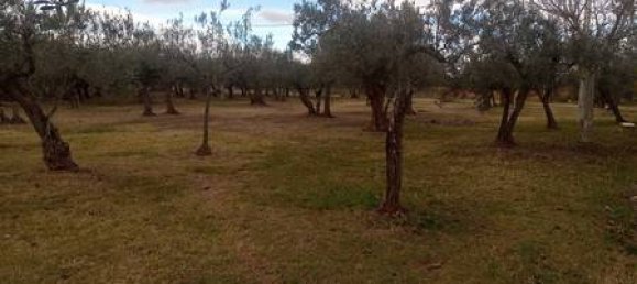 5 rooms House in Fossacesia, Italy No. 143058 9