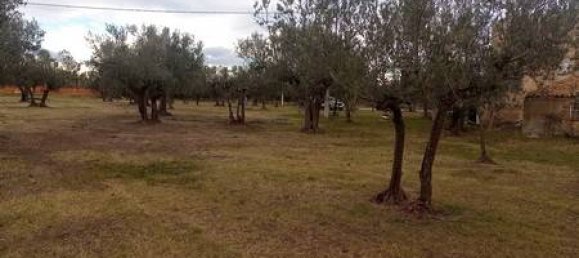 5 rooms House in Fossacesia, Italy No. 143058 13