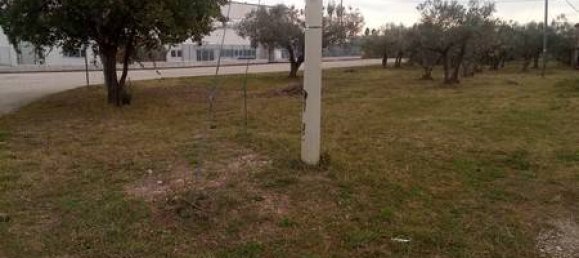 5 rooms House in Fossacesia, Italy No. 143058 22