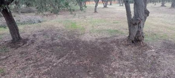 5 rooms House in Fossacesia, Italy No. 143058 15