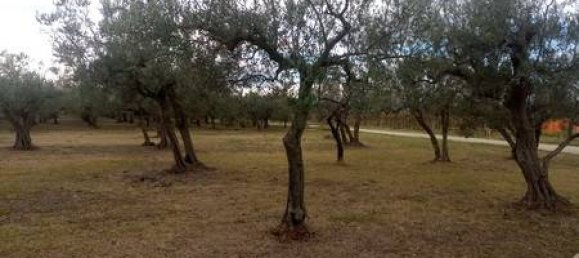 5 rooms House in Fossacesia, Italy No. 143058 2