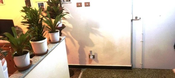 Studio in Genoa, Italy, Nr. 19157 7