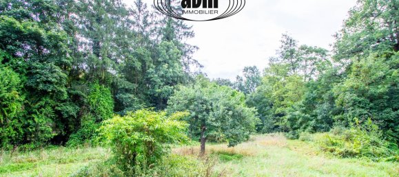 3 bedrooms House in Couilly-Pont-aux-Dames, France No. 331326 11