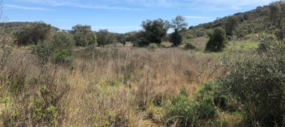 Grundstück in Alte, Portugal, Nr. 60015 10