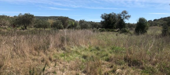 Grundstück in Alte, Portugal, Nr. 60015 7