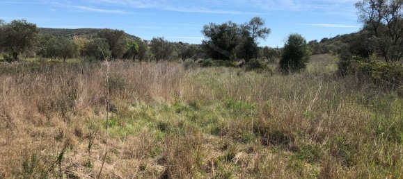 Grundstück in Alte, Portugal, Nr. 60015 11