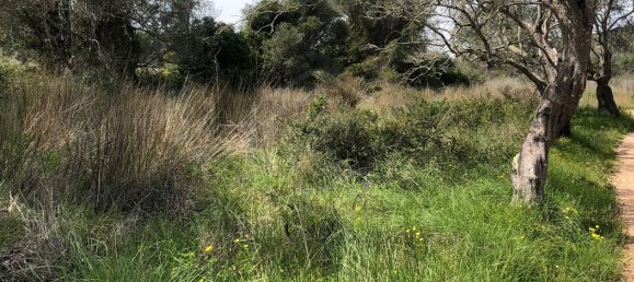 Grundstück in Alte, Portugal, Nr. 60015 3