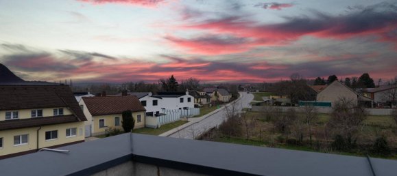 6 rooms House in Enzesfeld-Lindabrunn, Austria No. 196962 11