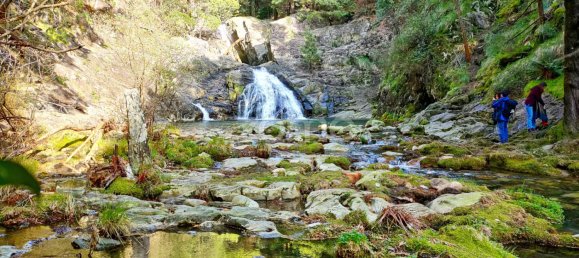 Grundstück in Caminha, Portugal, Nr. 63989 15