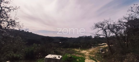 1380m² Land in Alvorge, Portugal No. 86068 8
