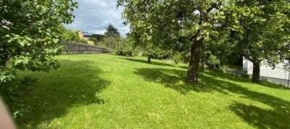 Terrain à Siegen-Wittgenstein, Germany No. 166468 3