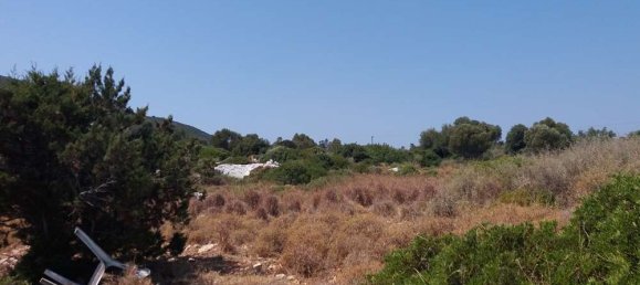 Hotel in Zakynthos, Greece, Nr. 8578 11