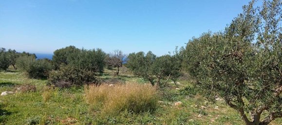 Hotel in Zakynthos, Greece, Nr. 8578 13