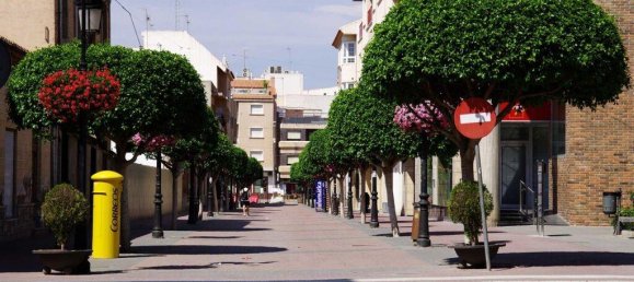 2 bedrooms Villa in Torre-Pacheco, Spain No. 11683 10