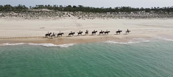 9 bedrooms Land in Alcacer do Sal, Portugal No. 144498 19